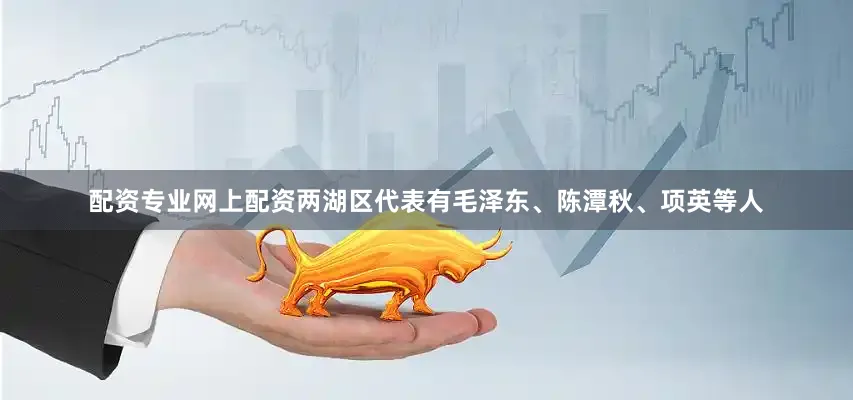 配资专业网上配资两湖区代表有毛泽东、陈潭秋、项英等人
