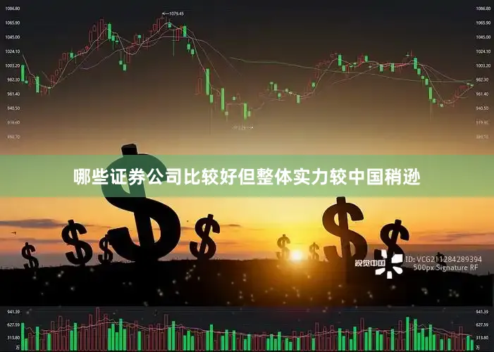 哪些证券公司比较好但整体实力较中国稍逊